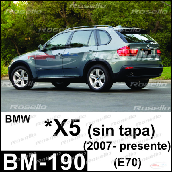 BM-190 / X5