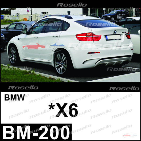 BM-200 / X6