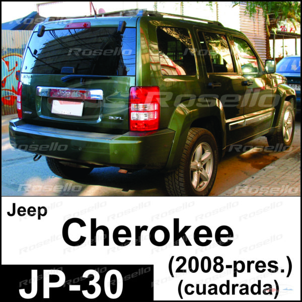 JP-030 / Cherokee